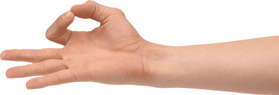 Female Hand PNG