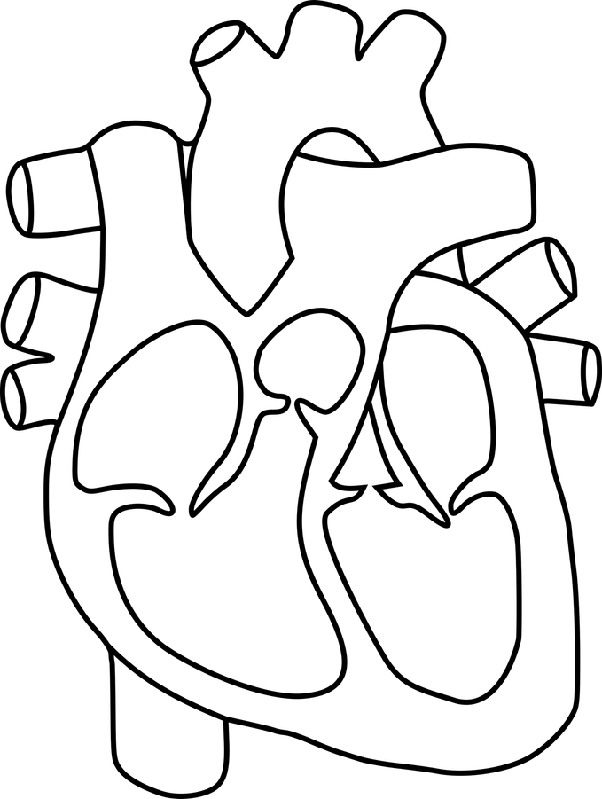 Drawing Of Hearts PNG