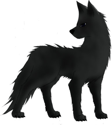 Black Wolf PNG