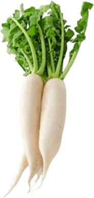 Raddish PNG
