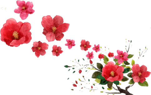 Falling Flower PNG