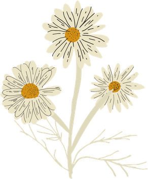 Wild Flower PNG
