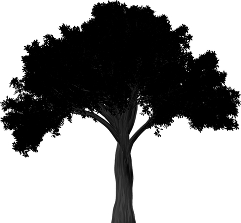Night Tree PNG