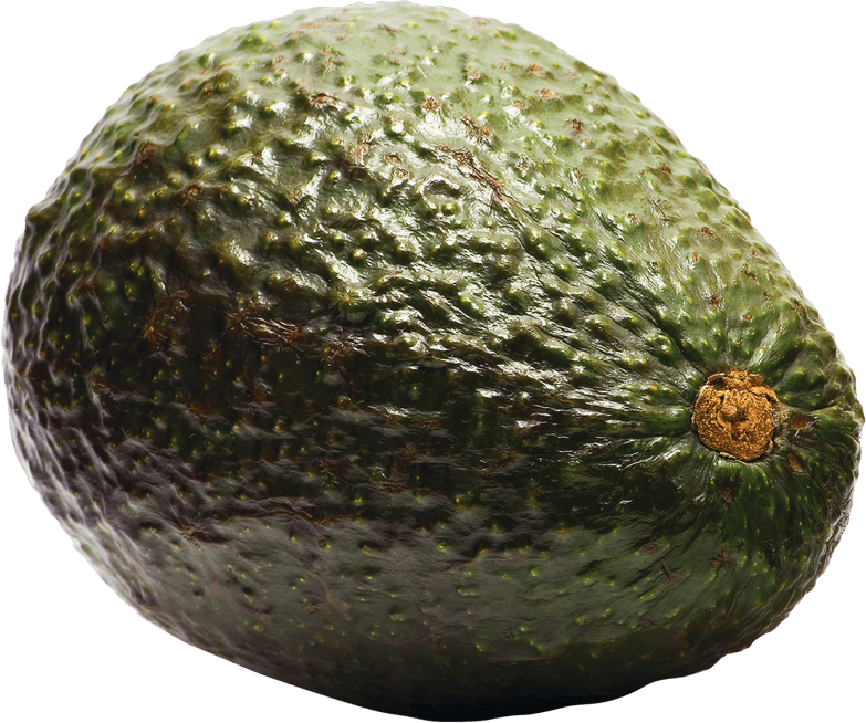 Avocado PNG