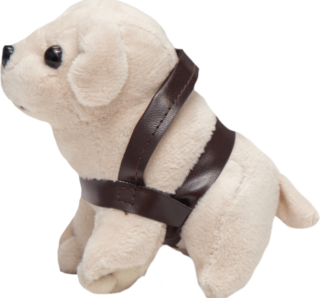 Beethoven Dog PNG