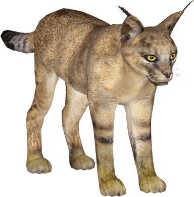 Jungle Cat PNG