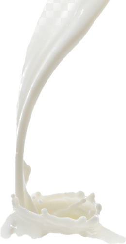 Milk Splash PNG