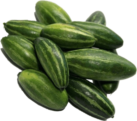 Pointed Gourd PNG