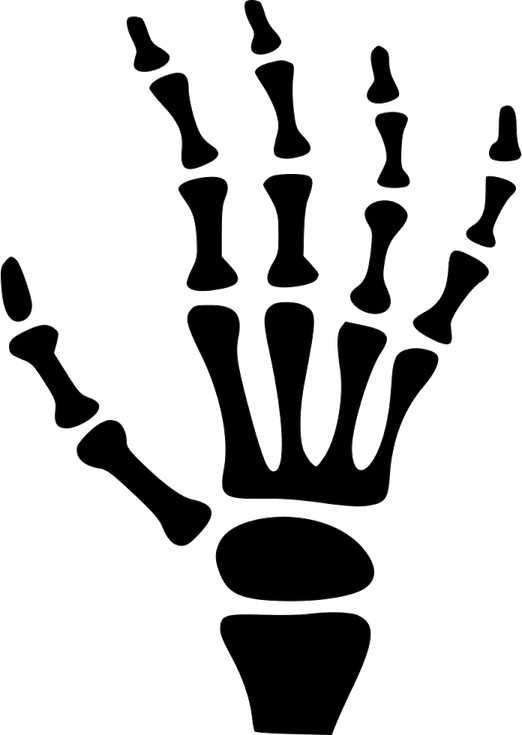 Skeleton Hand PNG