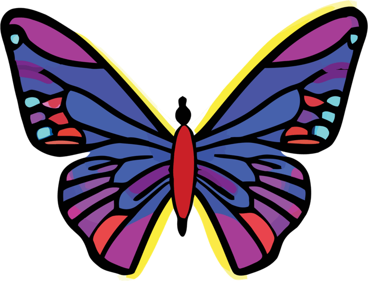 Butterfly Colourful PNG