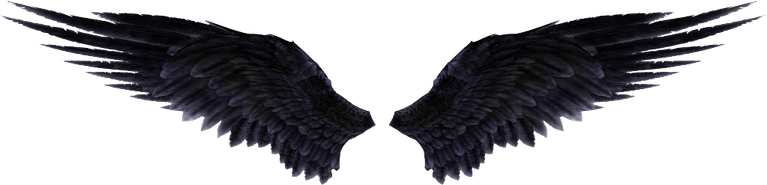 Black Angel Wings PNG