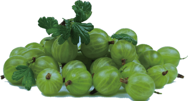 Gooseberry PNG