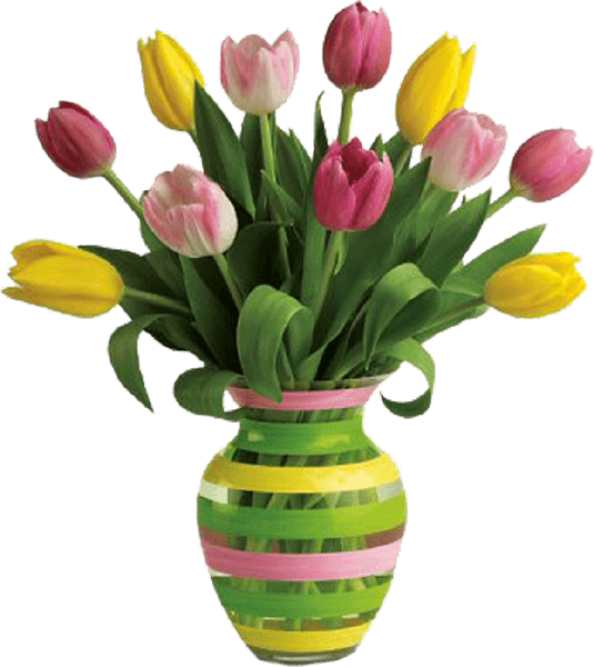 Vase PNG