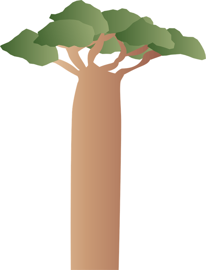 Baobab Tree PNG