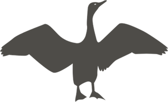 Cormorant PNG