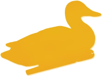 Mallard PNG