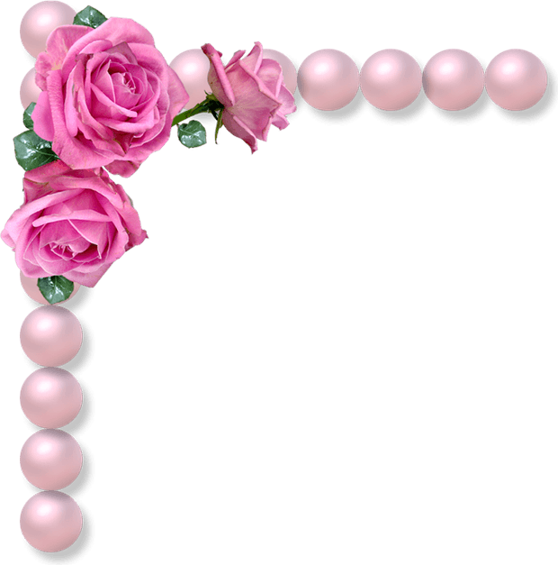 Pink Cosmos Flower PNG