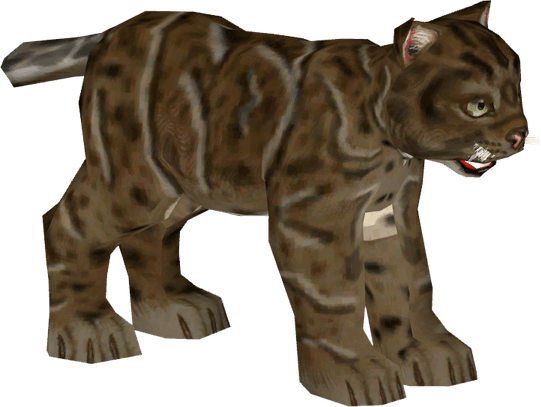 Marbled Cat PNG