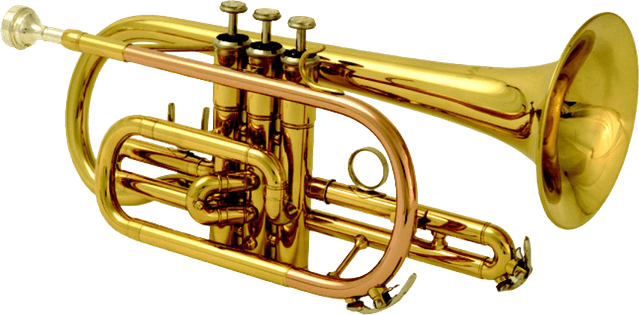 Brass Band Instrument PNG