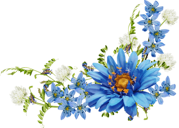 Corner Flower Border PNG