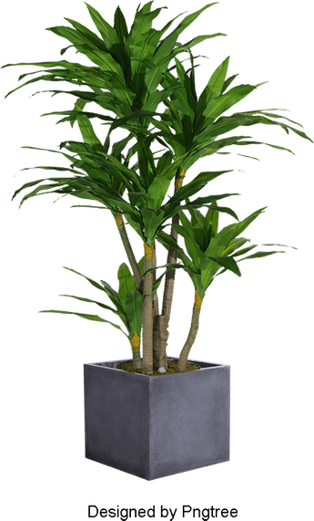 Planter PNG