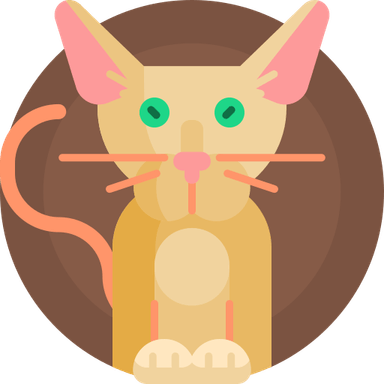 Aesthetic Cat PNG