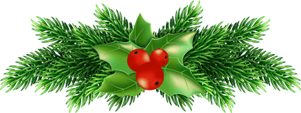 Holly PNG