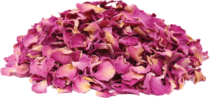 Rose Petals PNG