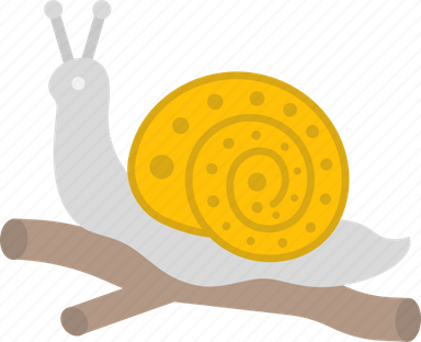 Garden Snail PNG