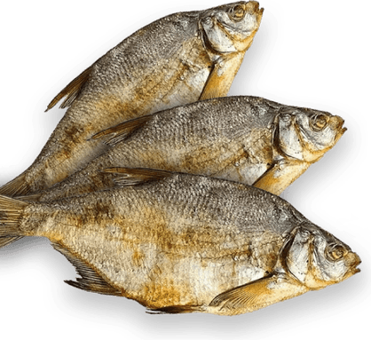 Dry Fish PNG