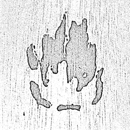 Stencil Fire PNG