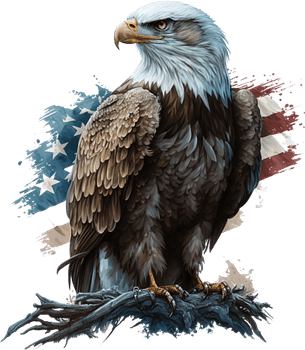 Bald Eagle American Flag PNG