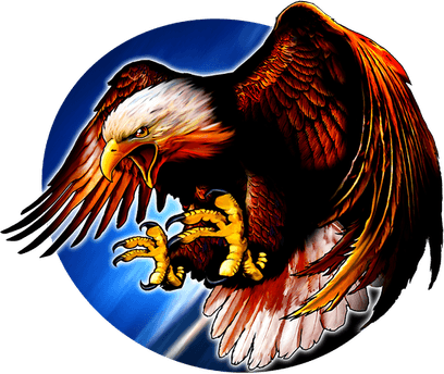 Patriot Eagle PNG