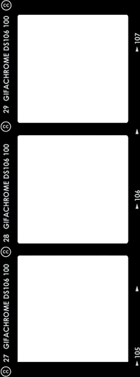 Kodak Frame PNG