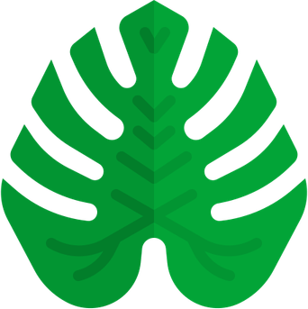 Monstera Leaf PNG