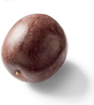 Passion Fruit PNG