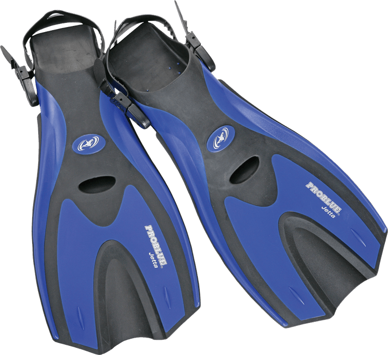 Flippers PNG