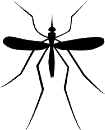 Mosquito PNG