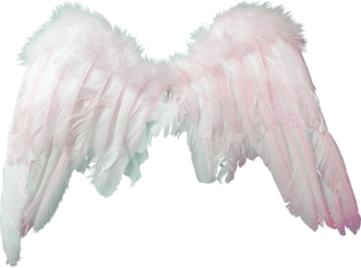 Pink And White Aesthetic Theme PNG