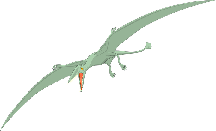 Dinosaur Bird PNG