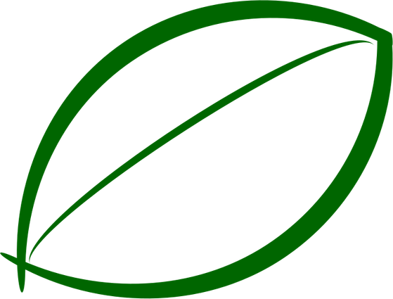 Leaf Icon PNG