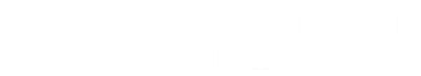 Republic Of Gamers Logo PNG