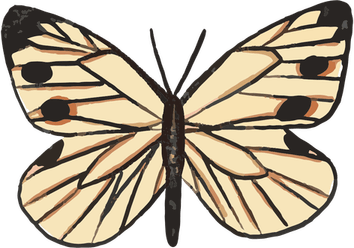Cabbage Butterfly PNG