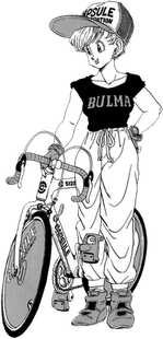 Bulma PNG
