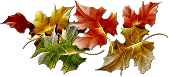 Autumn PNG