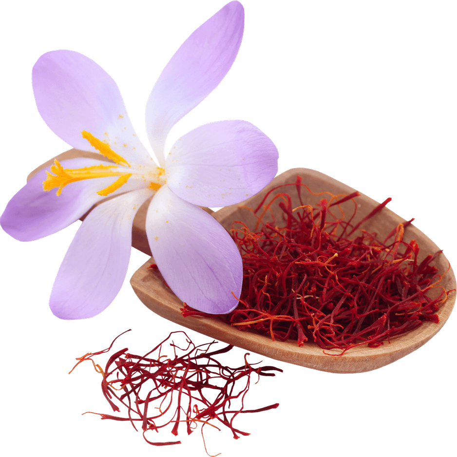 Saffron PNG