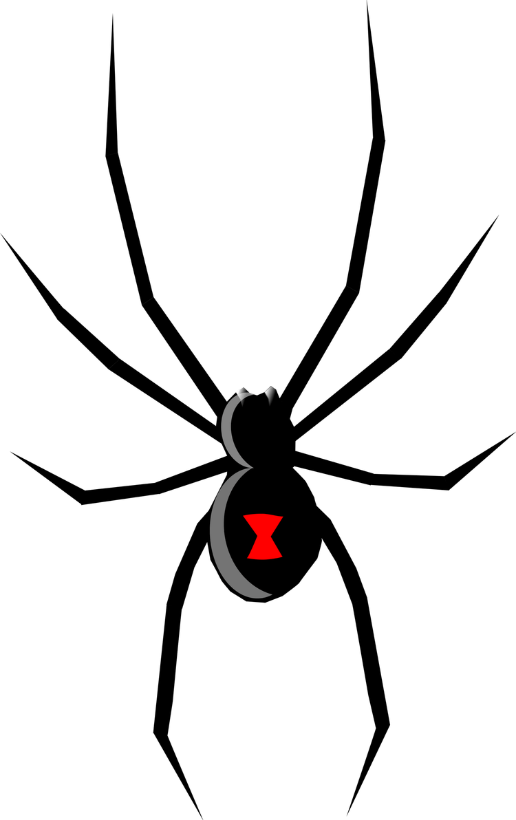 Black Widow Spiders PNG