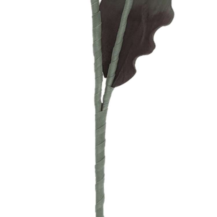 Aesthetic Green Flower PNG