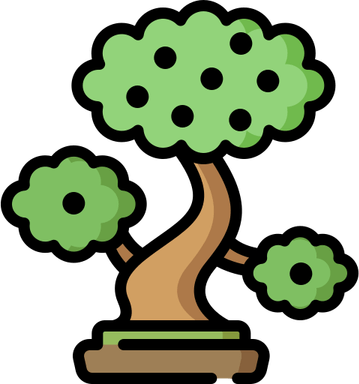Walnut Tree PNG