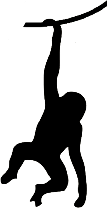 Monkey PNG